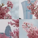 宁波旅游 缩略图 1