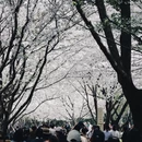 宁波旅游 缩略图 9