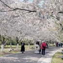 宁波旅游 缩略图 2