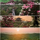 毕节旅游 缩略图 6