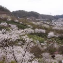 宁波旅游 缩略图 5