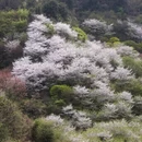 宁波旅游 缩略图 6