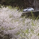 宁波旅游 缩略图 7