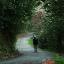 遵义旅游 缩略图 2