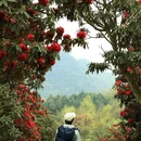 遵义旅游 缩略图 4