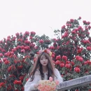 毕节旅游 缩略图 1