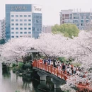 宁波旅游 缩略图 2