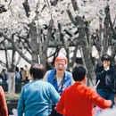 宁波旅游 缩略图 10
