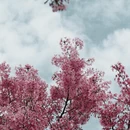 宁波旅游 缩略图 4