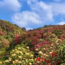 毕节旅游 缩略图 3