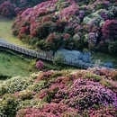 毕节旅游 缩略图 4