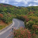 毕节旅游 缩略图 5