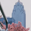 宁波旅游 缩略图 14
