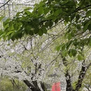 宁波旅游 缩略图 2