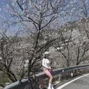 宁波旅游 缩略图 1