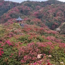 毕节旅游 缩略图 6