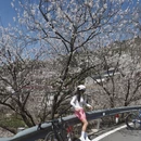 宁波旅游 缩略图 2
