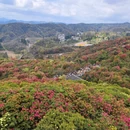 毕节旅游 缩略图 7