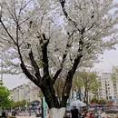 宁波旅游 缩略图 3