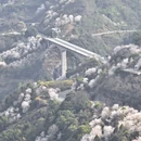 宁波旅游 缩略图 1