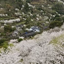 宁波旅游 缩略图 2