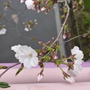 宁波旅游 缩略图 4
