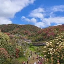 毕节旅游 缩略图 8