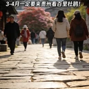 毕节旅游 缩略图 1
