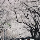 宁波旅游 缩略图 13