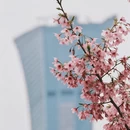 宁波旅游 缩略图 6