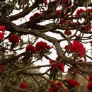 毕节旅游 缩略图 4