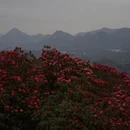毕节旅游 缩略图 5