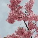 宁波旅游 缩略图 7