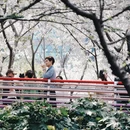 宁波旅游 缩略图 15