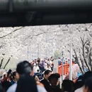 宁波旅游 缩略图 14
