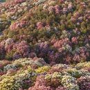 毕节旅游 缩略图 3