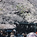 宁波旅游 缩略图 17
