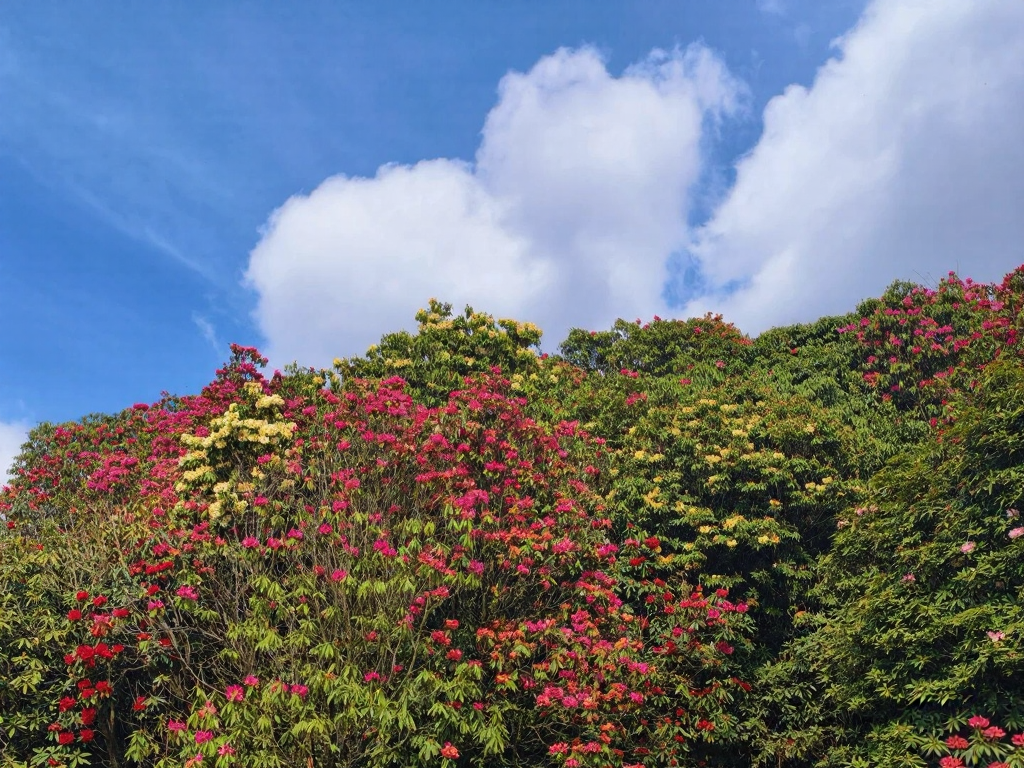 毕节旅游