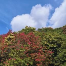 毕节旅游 缩略图 1