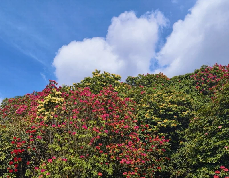 毕节旅游 1