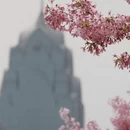 宁波旅游 缩略图 11