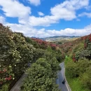 毕节旅游 缩略图 2