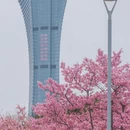宁波旅游 缩略图 3