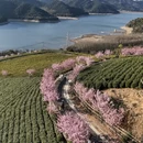 宁波旅游 缩略图 5