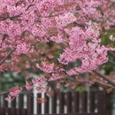宁波旅游 缩略图 4