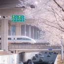 宁波旅游 缩略图 1