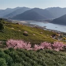 宁波旅游 缩略图 6