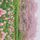 宁波旅游 缩略图 10