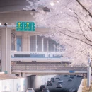 宁波旅游 缩略图 2