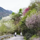 宁波旅游 缩略图 7